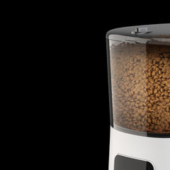 Pet Feeder Automatic