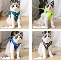 Anti-Strike Cat Traction Vest