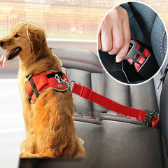 Dog Leash Car Seat Belt