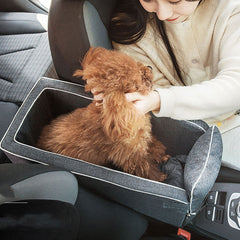 Car Safety Cat Travel Carrier