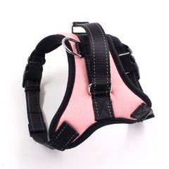 Cat Chest Stretchable Strap