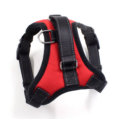 Cat Chest Stretchable Strap