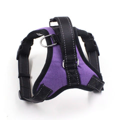 Cat Chest Stretchable Strap