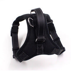 Cat Chest Stretchable Strap