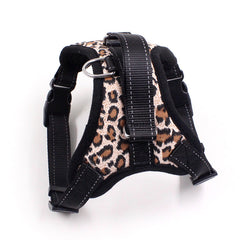 Cat Chest Stretchable Strap