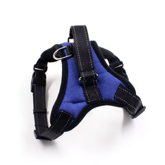 Cat Chest Stretchable Strap