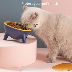 Pet Bowl With Stand