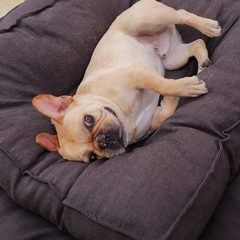 Cama tipo almohada para perros