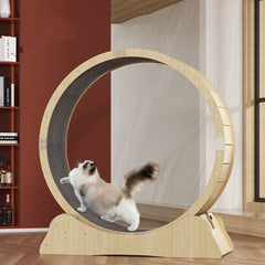 Cat Treadmill Roller