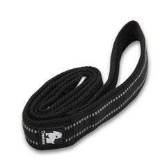 Dog Leash