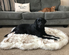 Pet Calming Plush Mat