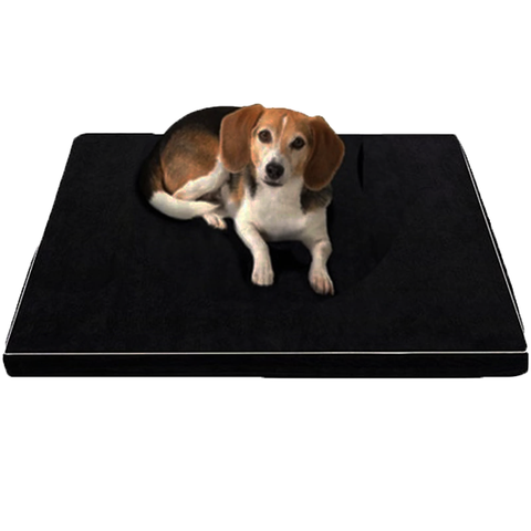 Orthopedic Memory Foam Dog Bed