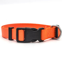 Collar de perro