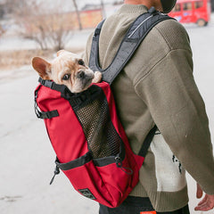 Mochila transportadora para perros