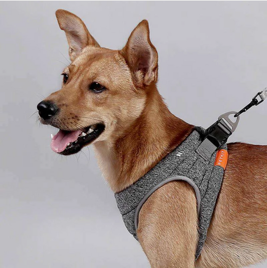 Collar de cuerda para perros