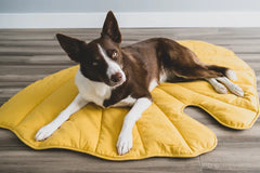 Leaf Shape Dog Blanket