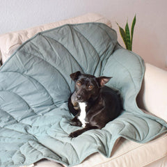 Leaf Shape Dog Blanket