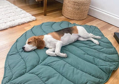 Leaf Shape Dog Blanket