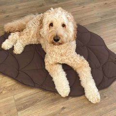 Leaf Shape Dog Blanket